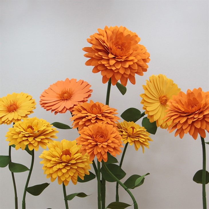 फोम फूल marigold
