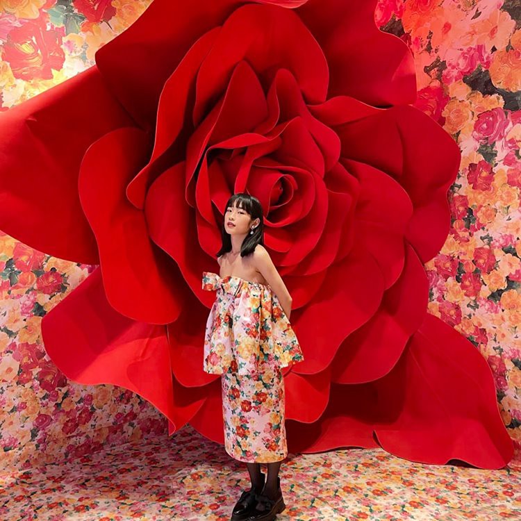 विशाल गुलाब पृष्ठभूमि प्रॉप्स