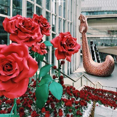 वेलेंटाइन डेपेपर फ्लावर