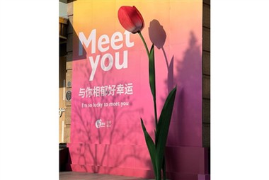 बड़े आकार के कागज के फूल